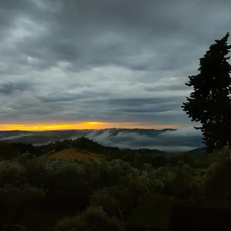 Bruscola San Casciano in Val di Pesa