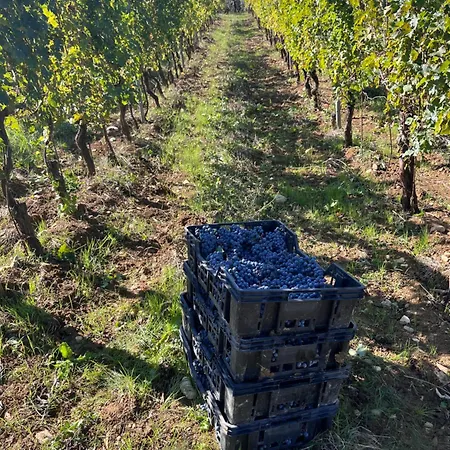 Séjour à la ferme Bruscola San Casciano in Val di Pesa